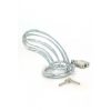Metal cock cage with lock and keys on a white background