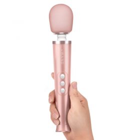 Le Wand Petite Rechargeable Massager in the hand of a women