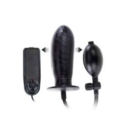 Bigger Joy Inflatable Penis, Pump and Vibrator controls side by side.
