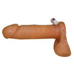 The penis ring on a dildo