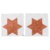 Nipple Sticker Stars in a Glitter Cooper Colour.