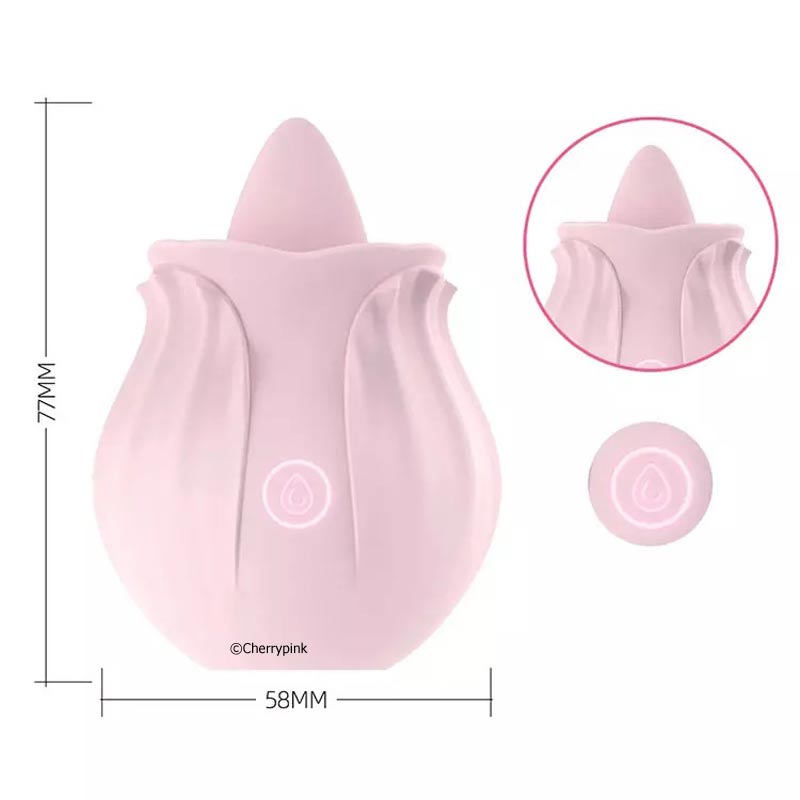 7 Function Rechargeable Rose Vibrator and its sizes.
