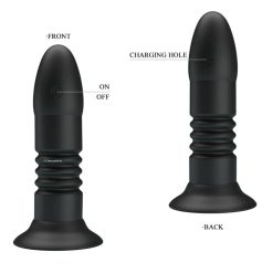 Two Pretty Love anal sex toys standing together with information on how they work