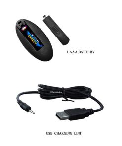 The Pretty Love sex toys charging cable with its remote control and one AAA battery