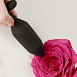 The Je Joue Onyx Vibrating Butt Plug Touching A Red Rose