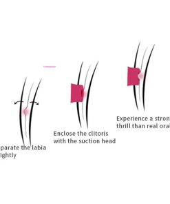 Illustration's on how the rose clitoral vibrator works