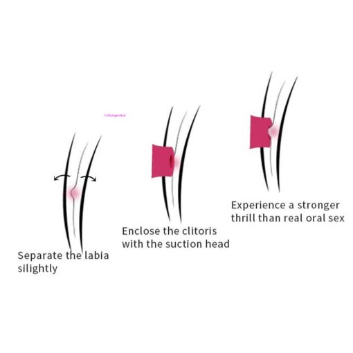 Illustration's on how the rose clitoral vibrator works