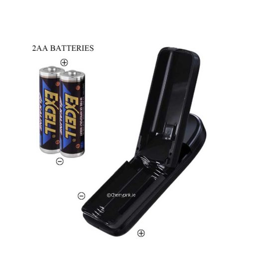 Two AA Batteries and black open remote control.