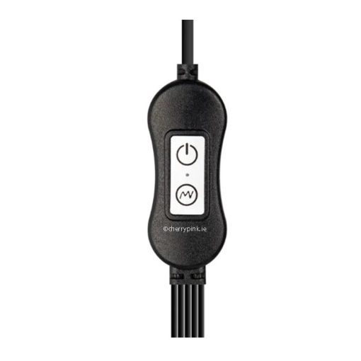 The button controller from the penis trainer
