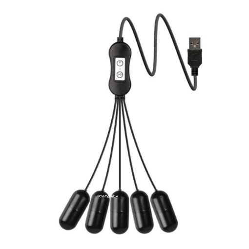 The five bullet vibrators from the penis trainer
