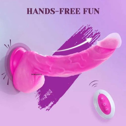 The dildo stuck to a shower room wall