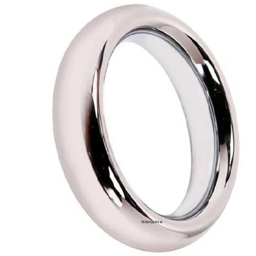 Stainless Steel Silver Waterproof Cock Ring Stand on its Edge